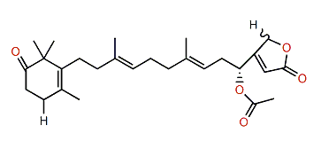 4-Acetoxythorectidaeolide A